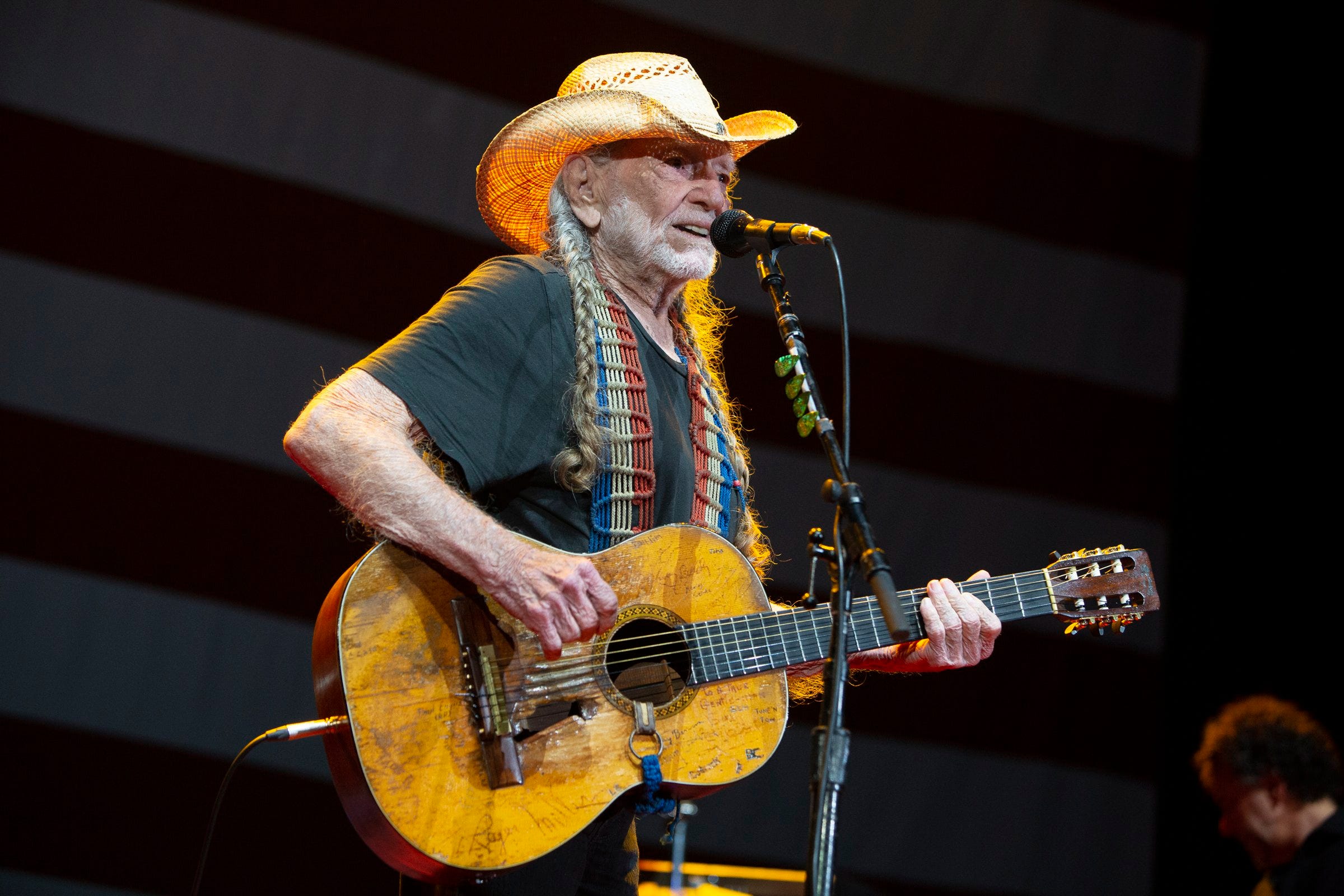 Willie Nelson's new album, "That's Life," is his second tribute in the past three years to songs associated with Frank Sinatra.