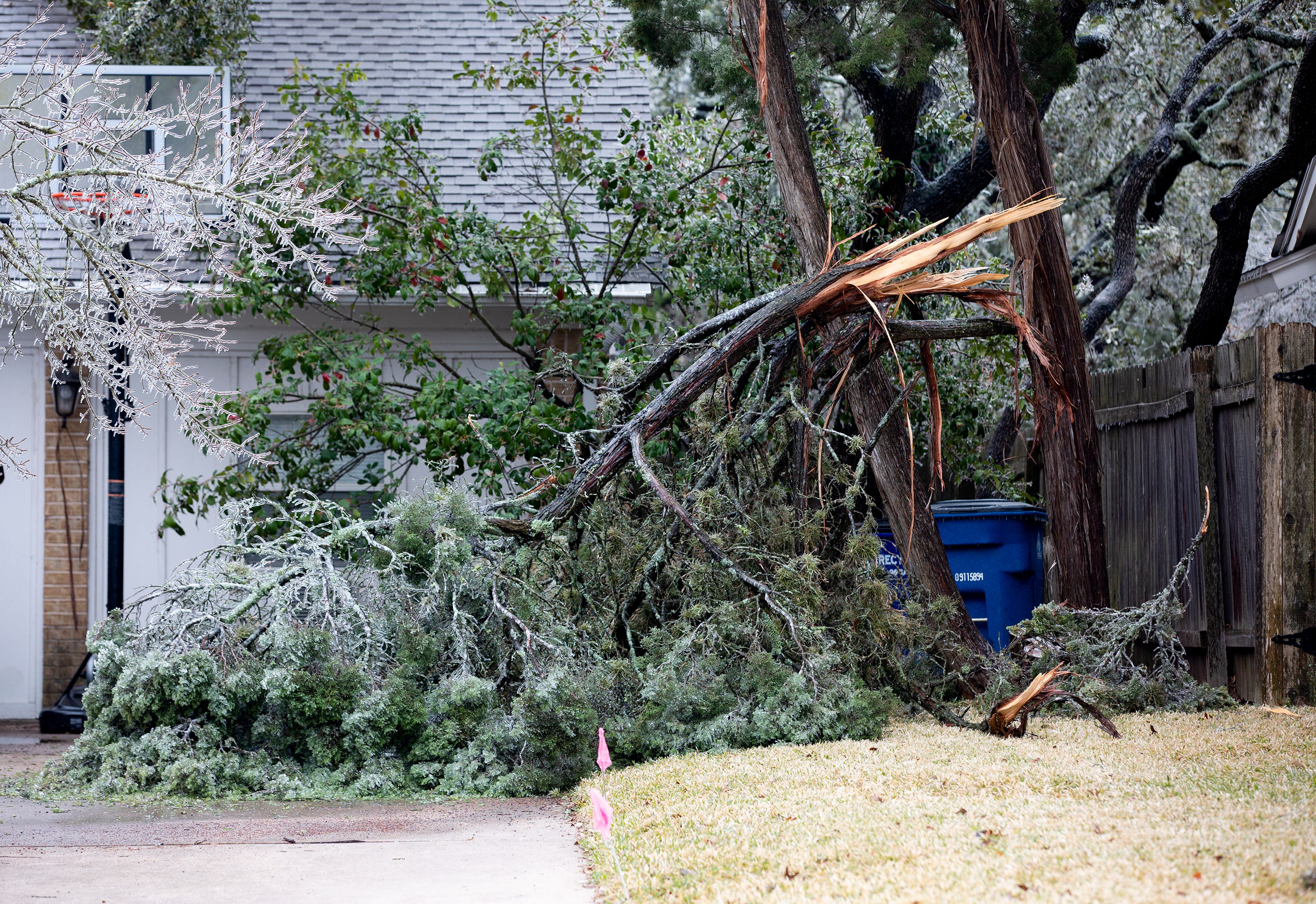 A broken branch lays in a driveway in North Austin on Feb. 12, 2021. Icy weather is expected through Sunday.