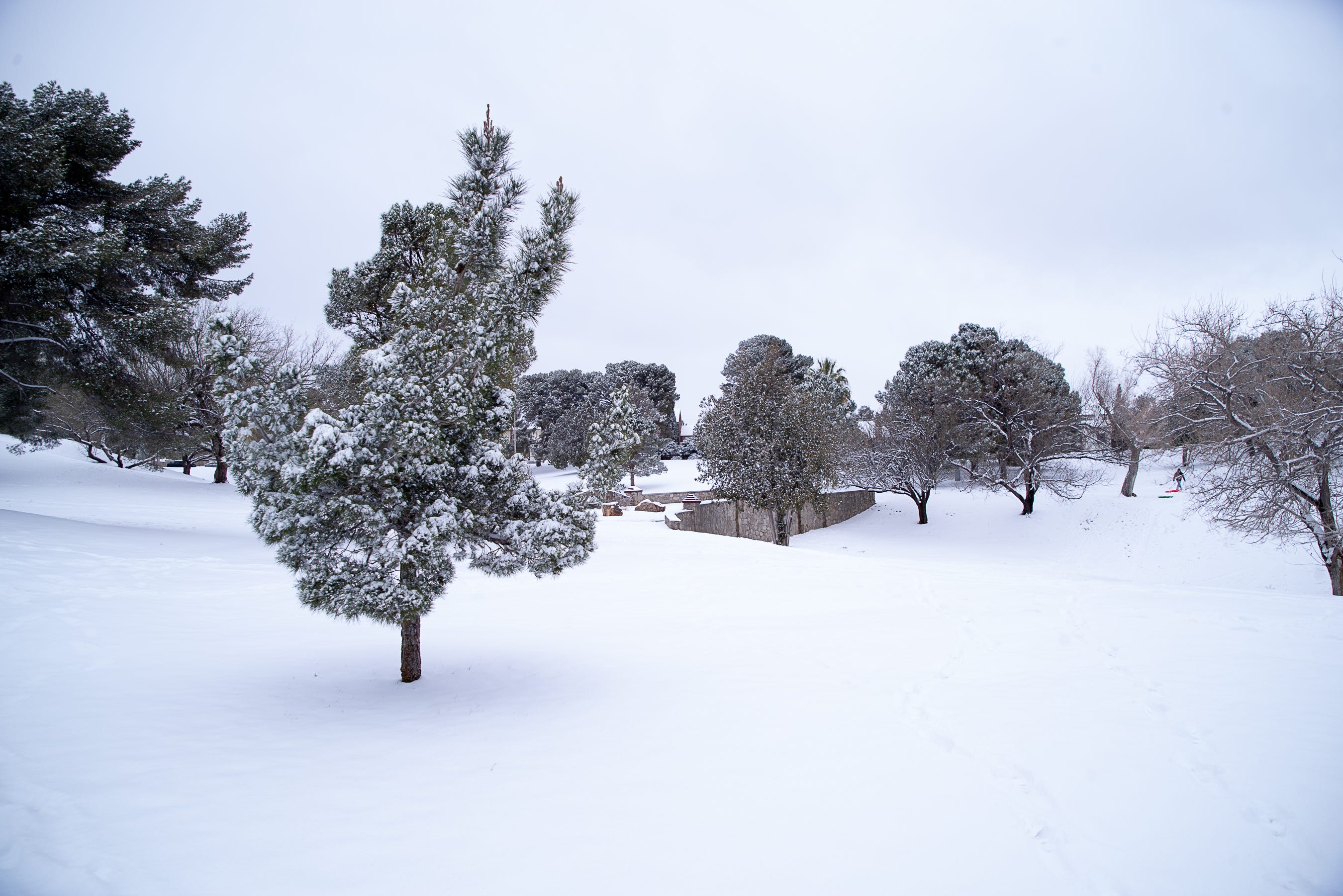 Memorial Park had a thick layer of snow on it on Sunday morning. Snow fell most of the day in El Paso on Valentine's Day. Feb. 14, 2021.